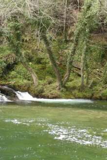 Água do rio a correr com árvores nas suas margens